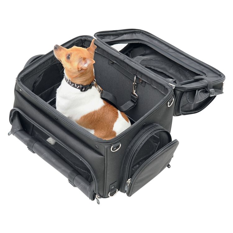 Saddlemen PC3200C Convertible Pet Voyager Carrier