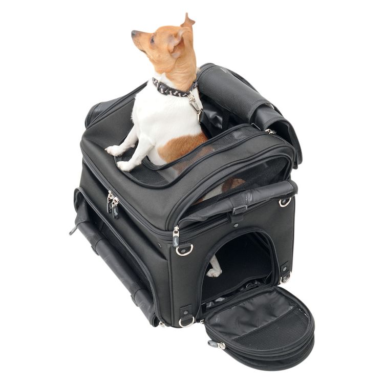 Saddlemen PC3200C Convertible Pet Voyager Carrier