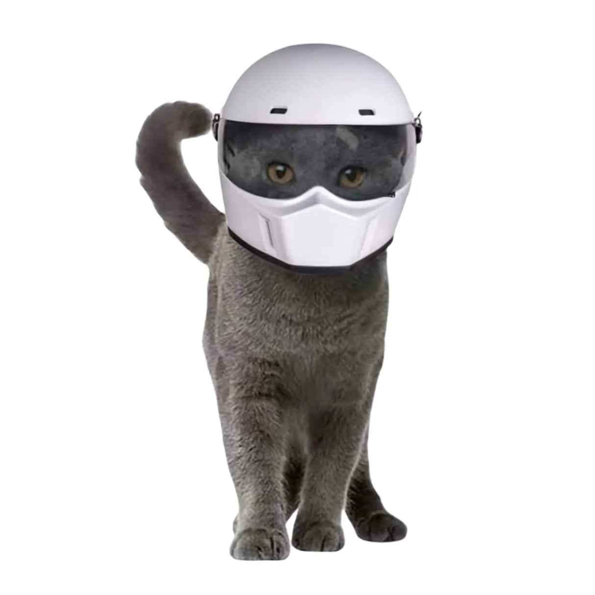 Pet Full Face Motorcycle Helmet Outdoor Motorcycle Bike Riding Helmet Cat Motorcycle Helmet Hat for Cat Dog Doggie Puppy Kitten