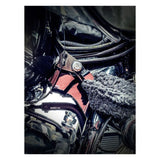 Bare Knuckle Performance Cycle Tie Down Bracket For Harley